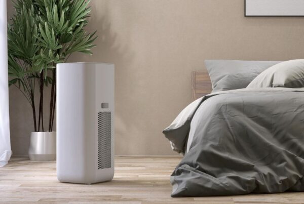 A portable humidifier, one option when considering a humidifier vs. dehumidifier