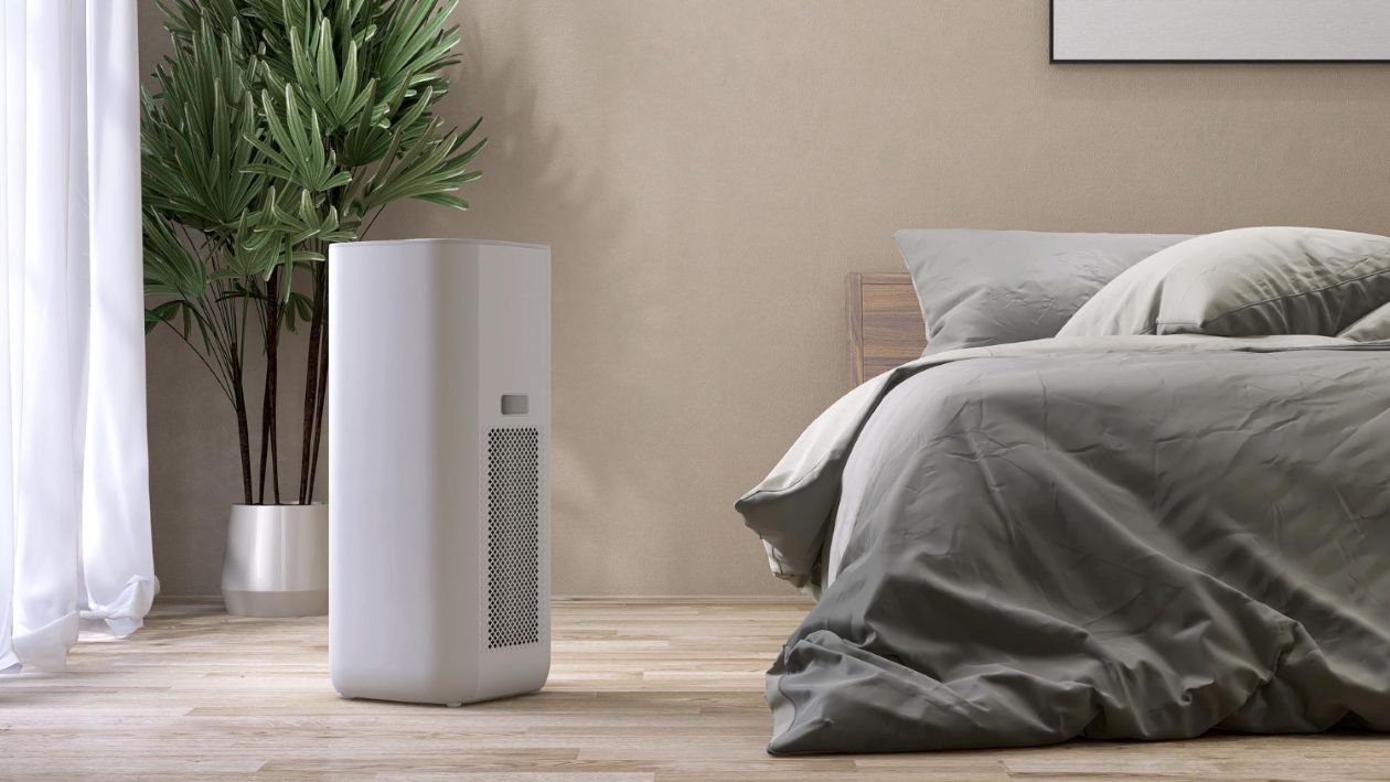 Humidifier vs. Dehumidifier: Which Do You Need?